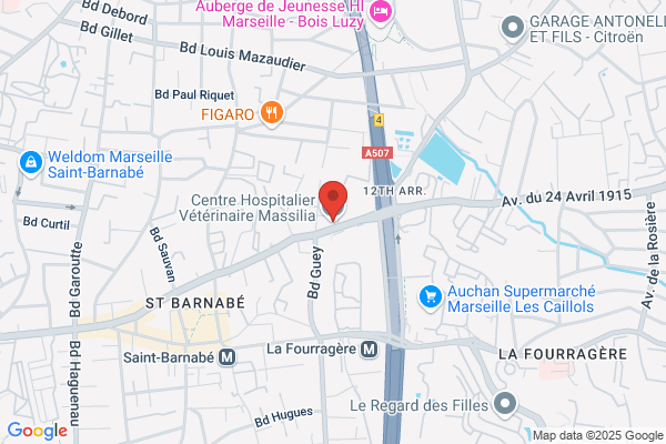 Marseilles Vet Hospital