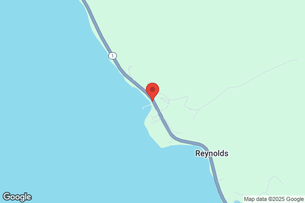 Lund Tomales Bay Olive Oil