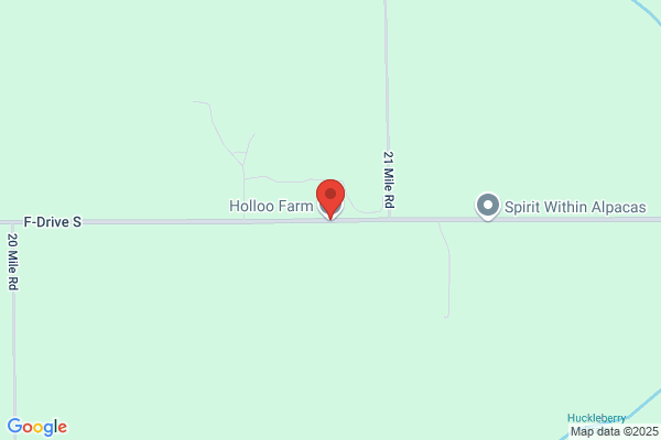 Holloo Farm Llc