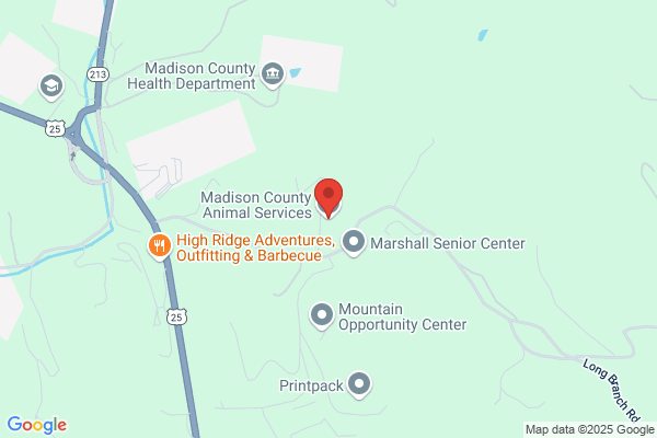 Madison Co Animal Control