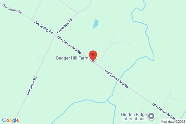 Badger Drilling Inc