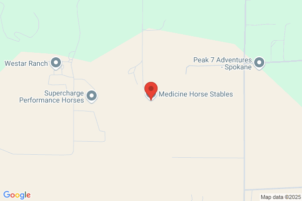 Medicine Horse Counseling