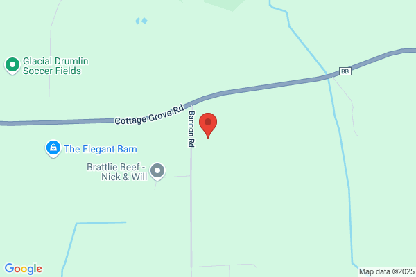 B.D. Trinity Electric