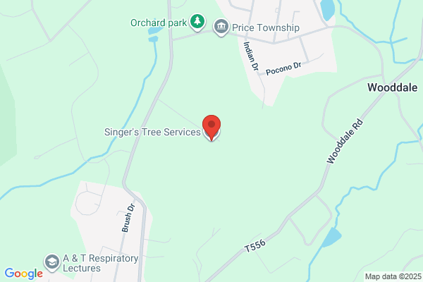 Singer's Tree Service