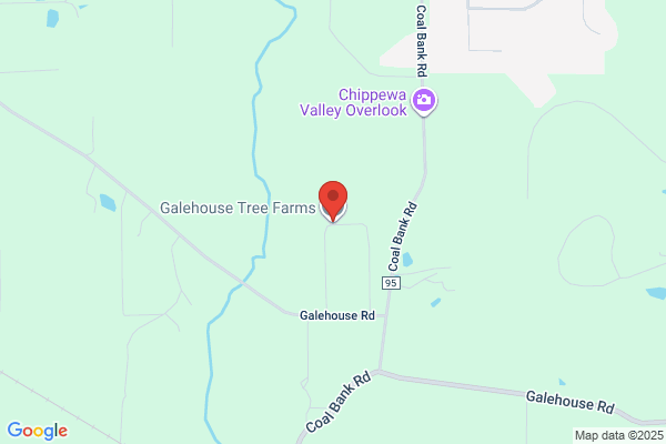 Galehouse Tree Farms