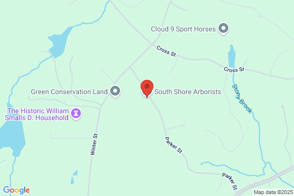 South Shore Arborists