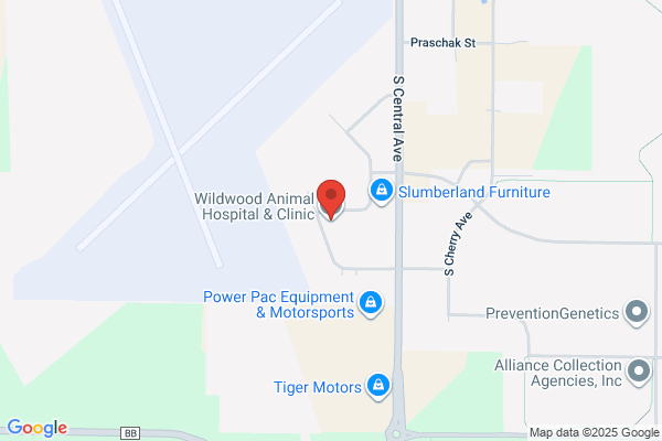 Wildwood Animal Hospital & Clinic LLC