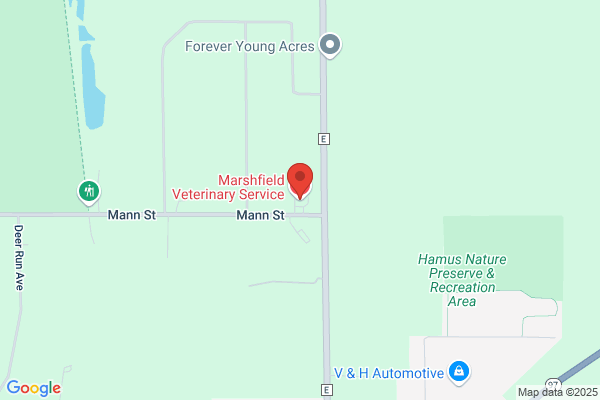 Marshfield Veterinary Service