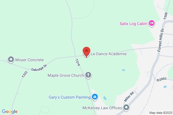 Le Dance Academie