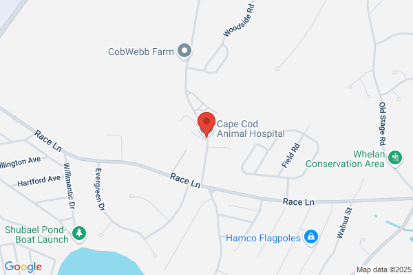 Cape Cod Animal Hospital