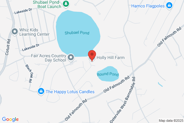 Holly Hill Farm