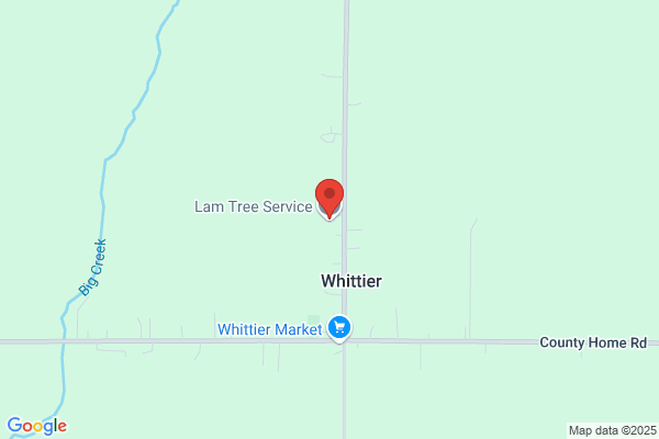 Lam Tree Service
