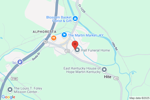 Advance Auto Parts