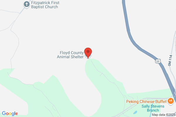 Animal Shelter