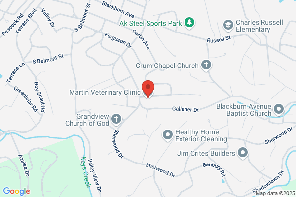 Martin Animal Hospital