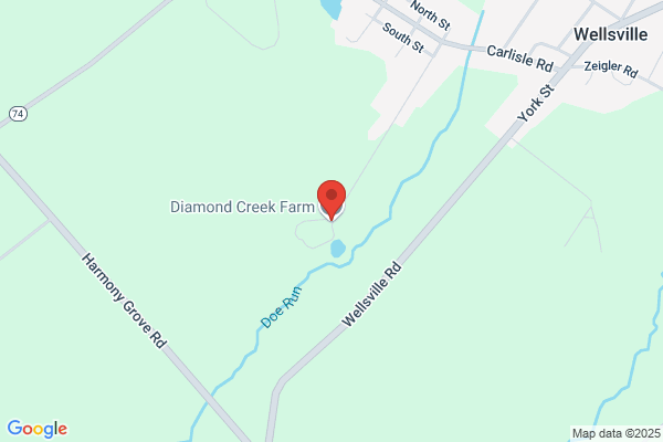 Diamond Farms