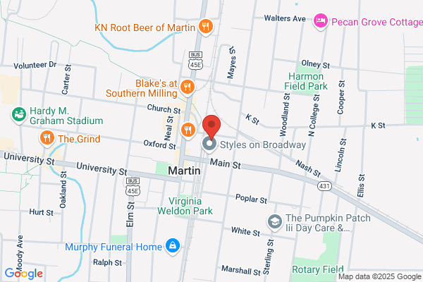 State Finance of Martin