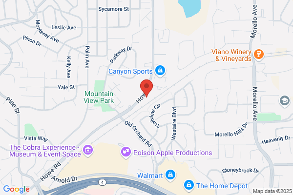 Advance Auto Body Inc