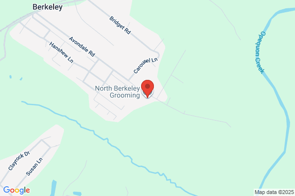 North Berkeley Grooming