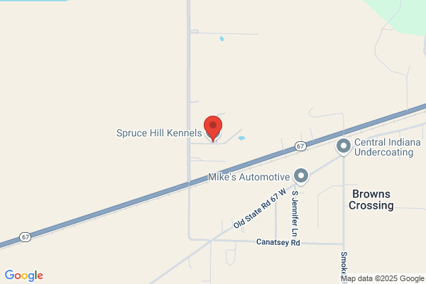 Spruce Hill Kennels