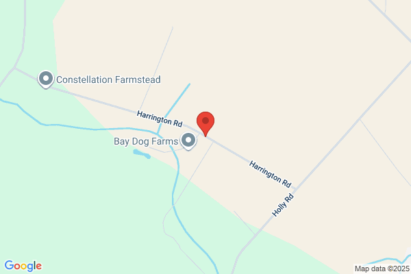 Henderson Auto Salvage and Towing