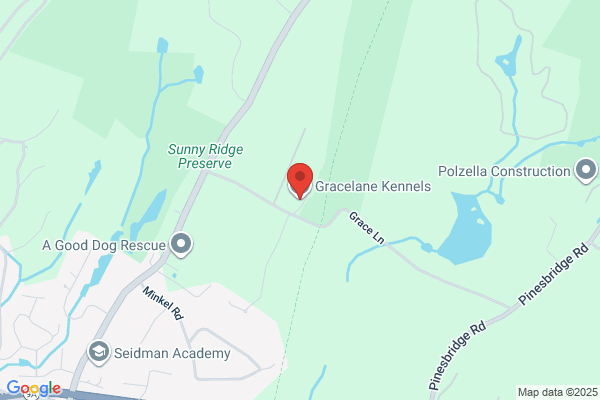 Gracelane Kennels