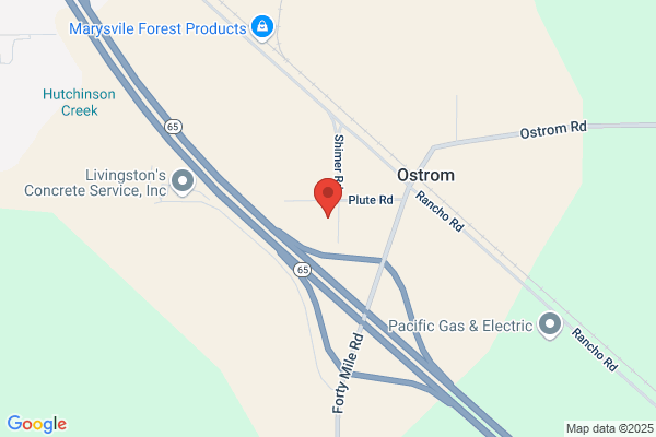 Frankenstein Motors Inc.