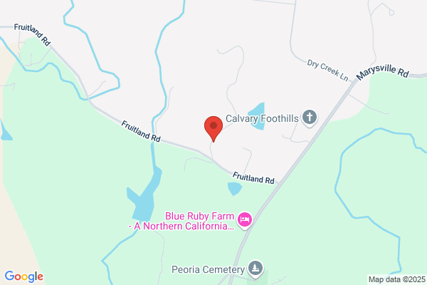 Mystical Llama Ranch