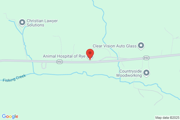 Animal Hospital of Rye
