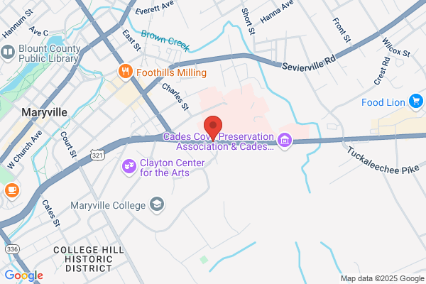 Appalachian Therapy Center