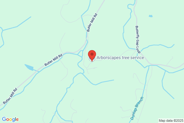 Arborscapes tree service