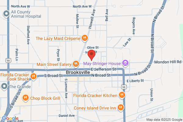 Brooksville Blueberry Festival