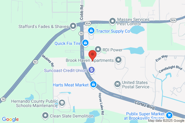 Hernando County of, Code Enforcement