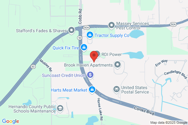 Hernando County of, Planning Department