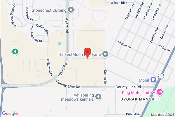 Vince Vanni Associates