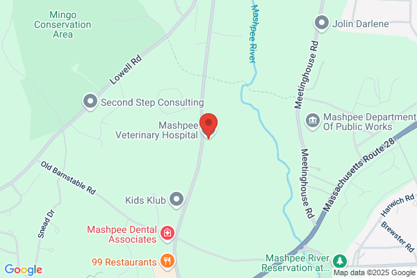 Mashpee Veterinary Hospital