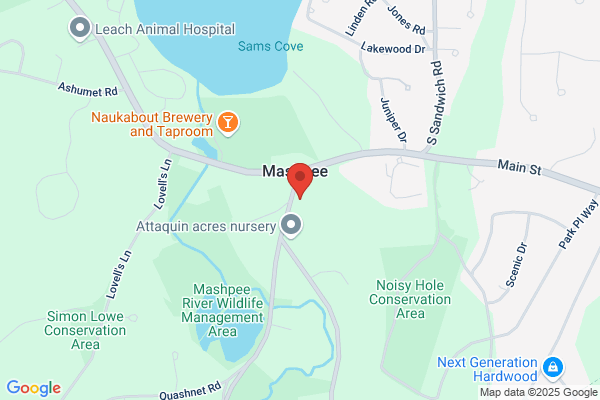 Mashpee Human Services