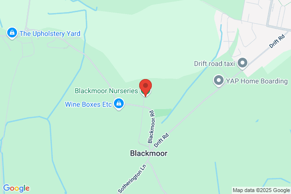 Blackmore Nursery