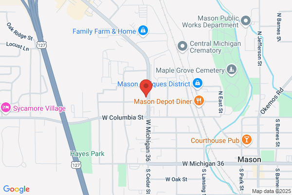NAPA Auto Parts - The Parts Place - Mason