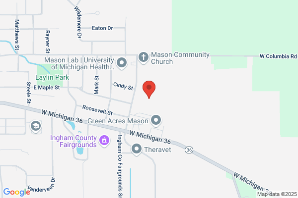 Mason Public Schools, Middle School