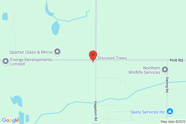 Discount Trees