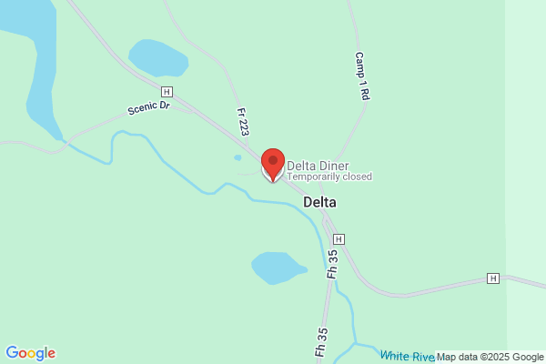 Delta Diner