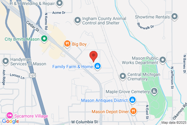 Mason County Mental Health Services