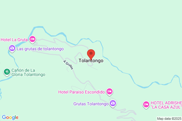 Tologono