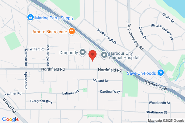 Island Automotive Machine Shop Inc
