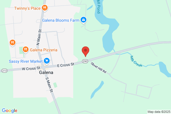 Galena Volunteer Fire Department