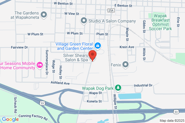 Silver Shears Salon
