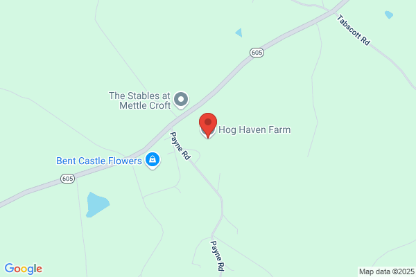 Hog Heaven Farm