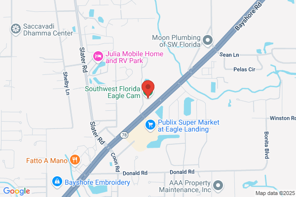 City of Cape Coral Eagle Cam