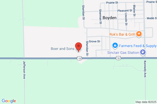 Boer and Sons Inc